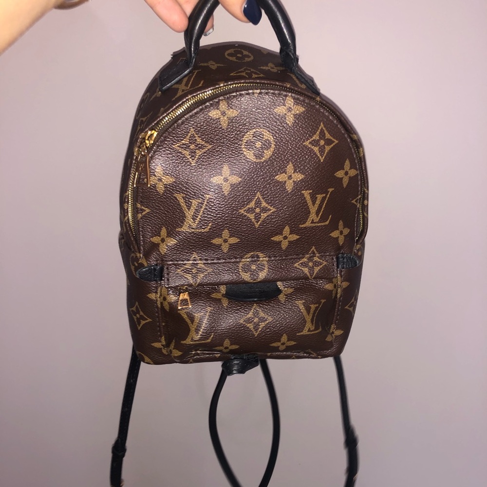 Louis Vuitton Palm Springs Mini